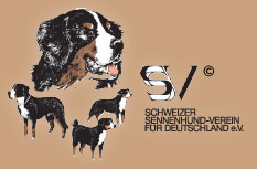 Logo SSV